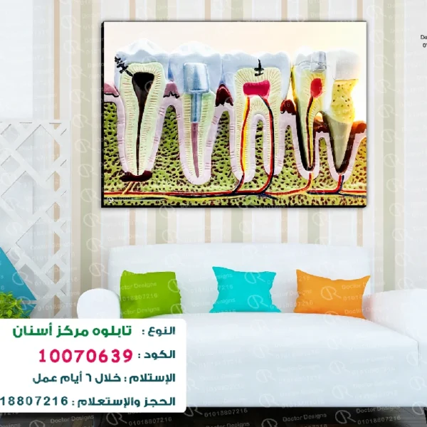 تابلوه الكود:10070639