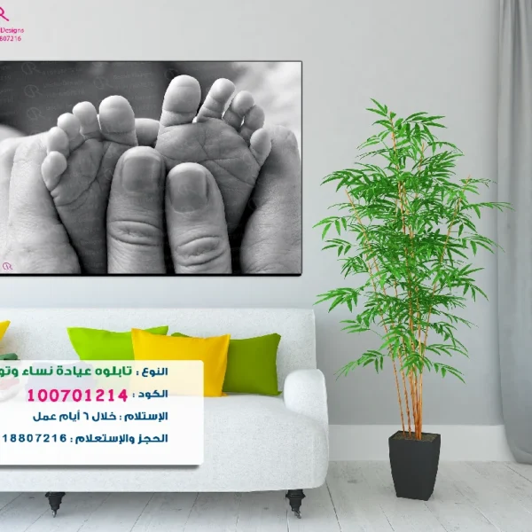 تابلوه الكود:100701214