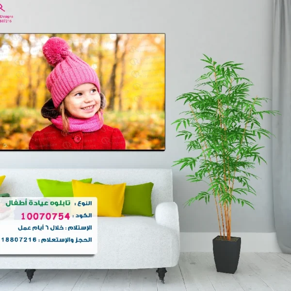 تابلوه الكود:10070754