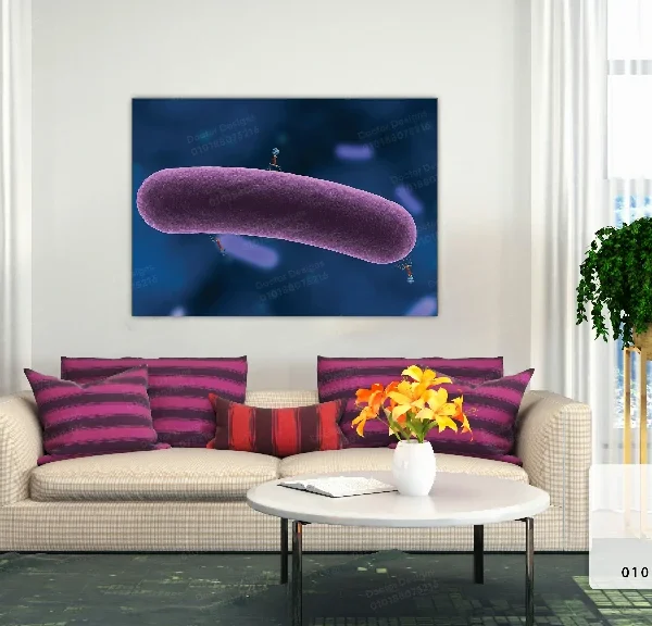 تابلوه الكود:7050326