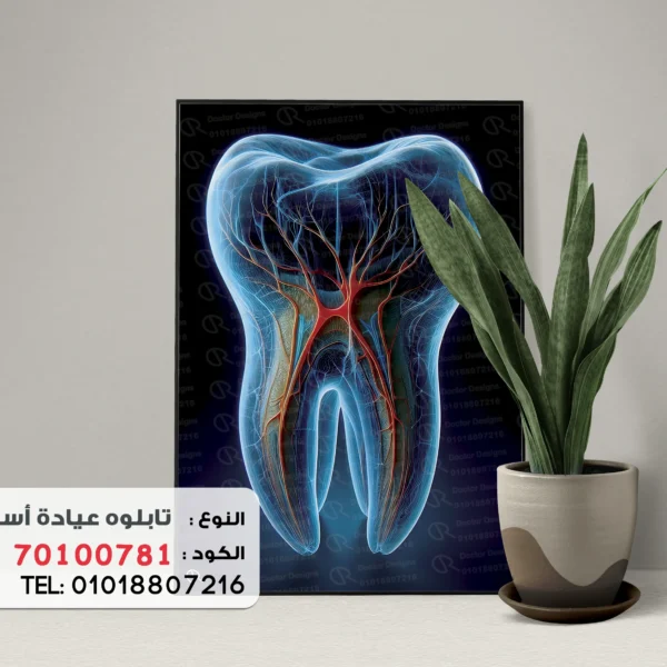 Dental Portrait code :70100781